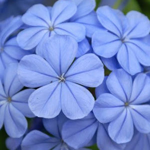 Meet your Posher, Joanna